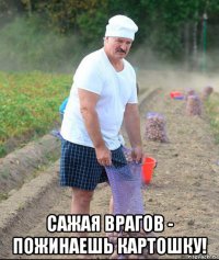  сажая врагов - пожинаешь картошку!