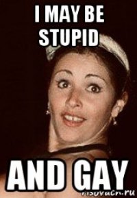 i may be stupid and gay