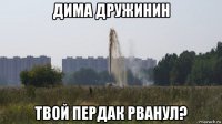 дима дружинин твой пердак рванул?