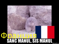  sanc manul, sis manul