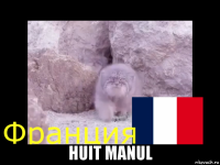 huit manul
