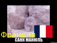  санк манюль