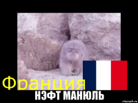  нэфт манюль