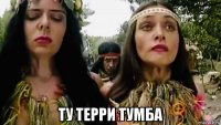  ту терри тумба