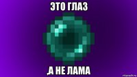 это глаз ,а не лама