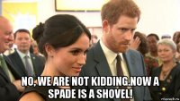  no, we are not kidding.now a spade is a shovel!