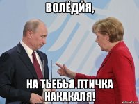 волёдйя, на тьебья птичка накакаля!