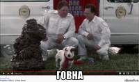  говна
