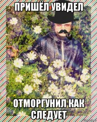 пришёл увидел отморгунил как следует