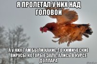 я пролетал у них над головой а у них там были какие-то химические вирусы которые запутались в курсе доллара