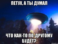 петух, а ты думал что как-то по-другому будет?