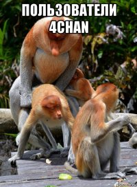 пользователи 4chan 