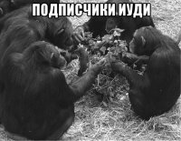 подписчики иуди 