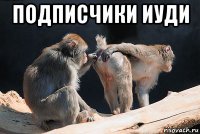 подписчики иуди 