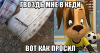 гвоздь мне в кеди вот как просил