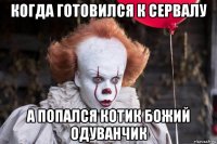 когда готовился к сервалу а попался котик божий одуванчик