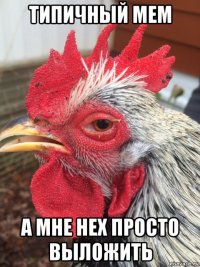 типичный мем а мне нех просто выложить