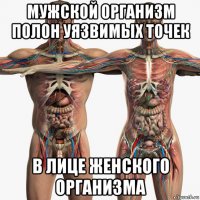 мужской организм полон уязвимых точек в лице женского организма