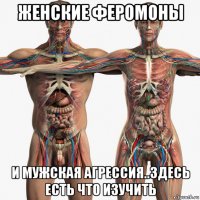 женские феромоны и мужская агрессия..здесь есть что изучить