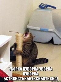  уборка куборка уборка куборка бстькбстькбктьскбктькбс!