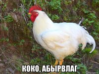  коко, абырвлаг