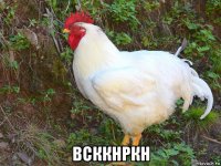  всккнркн