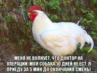  меня не волнует, что доктор на операции, моя собака 10 дней не ест, я приеду за 5 мин до окончания смены