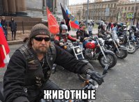  животные