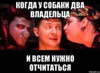 когда у собаки два владельца и всем нужно отчитаться