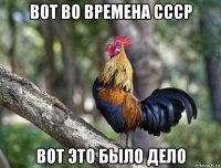 вот во времена ссср вот это было дело