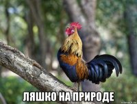  ляшко на природе