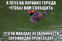 я лечу на окраину города чтобы вам сообщить что на майдане незалижности евромайдан происходит