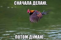 сначала делаю, потом думаю...