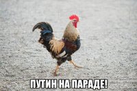  путин на параде!