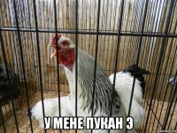  у мене пукан э