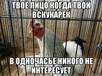 твоё лицо когда твой вскукарек в одночасье никого не интересует