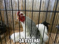  за путена!