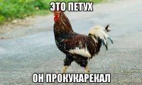 это петух он прокукарекал