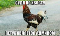 судя по хвосту петух является админом