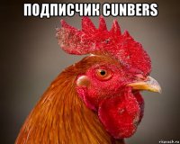 подписчик cunbers 