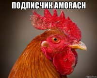 подписчик amorach 