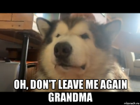  oh, don't leave me again grandma