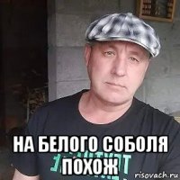  на белого соболя похож