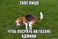 твоё лицо чтоб посрать на газоне админа