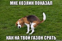 мне хозяин показал как на твой газон срать