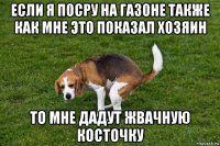 если я посру на газоне также как мне это показал хозяин то мне дадут жвачную косточку