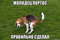 молодец портос правильно сделал