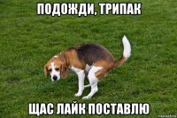 подожди, трипак щас лайк поставлю