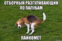 отборный разгуливающий по палубам лайкомёт
