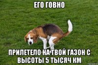 его говно прилетело на твой газон с высоты 5 тысяч км